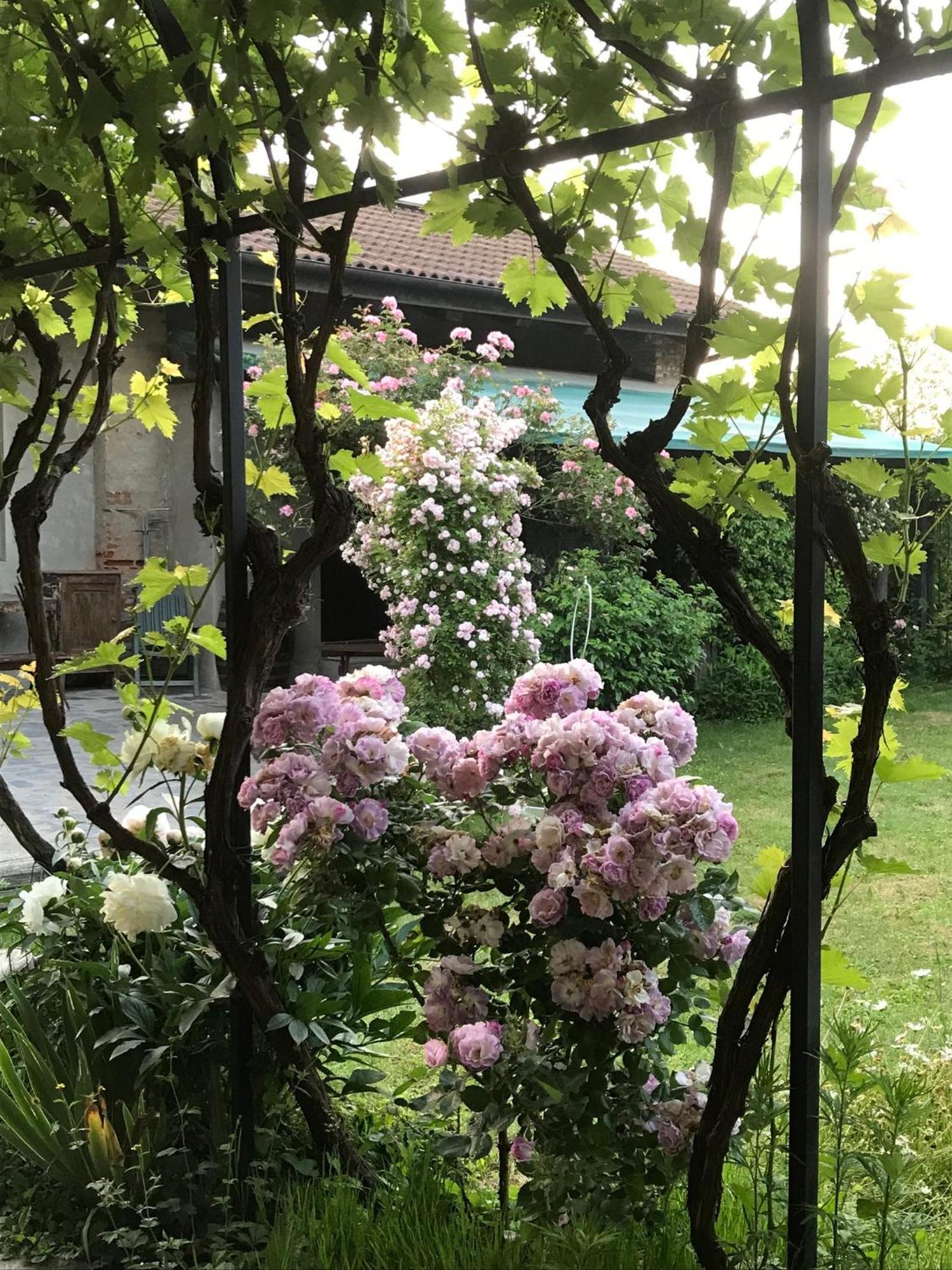B&B Cascina Marie Bricherasio Екстер'єр фото